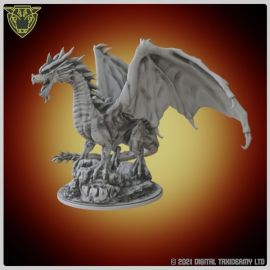 dragon_set_10002.jpg Dragon Miniature STL 1 - 28mm Fantasy gaming miniatures for 3D printed tabletop gaming