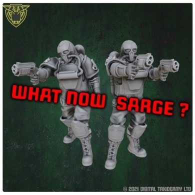 What now sarge? - Flash Fiction 012